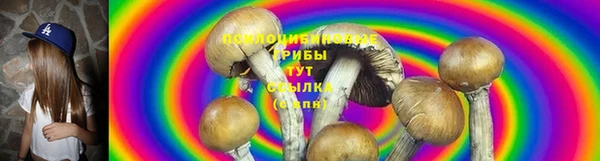 гидропоника Армянск