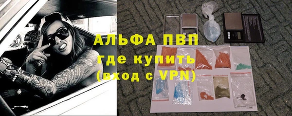 индика Аркадак