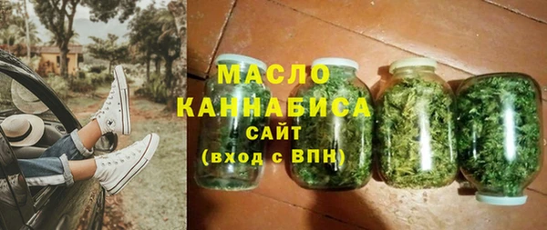 индика Аркадак