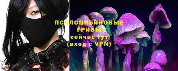 гидропоника Армянск