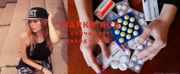 индика Аркадак