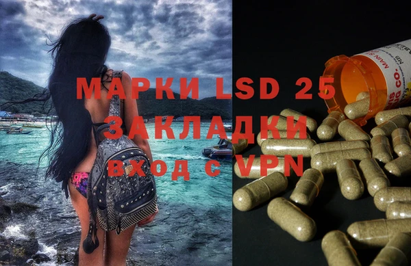 индика Аркадак