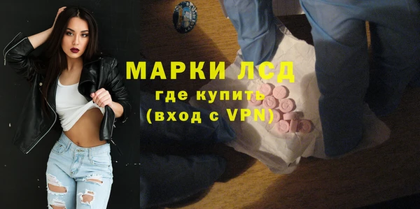 индика Аркадак
