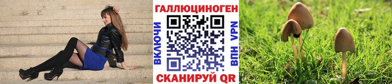 Купить  Перевоз  Галлюциногенные грибы GOLDEN TEACHER 